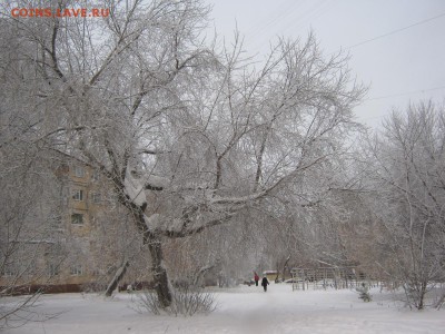 перекличка городов по температуре - IMG_4860[1].JPG