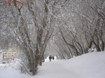 ФОТО - просто фото. Те что получились удачными. - IMG_4859[1].JPG