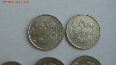 м 15 штук до 18-50 20.12.18 - DSC08417.JPG