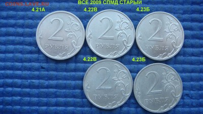 н 9 видов по А.С.до 19-10 20.12.18 - DSC08440.JPG