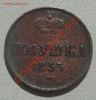 полушка 1853, 1855 ЕМ оценка - полушка 1853 рев.JPG