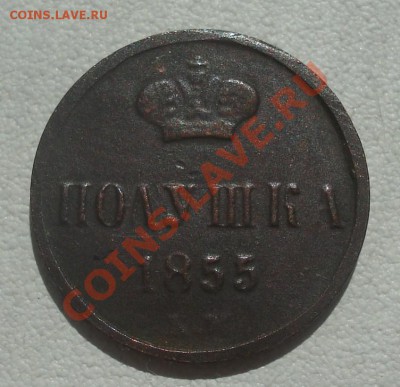 полушка 1853, 1855 ЕМ оценка - полушка 1855 рев.JPG