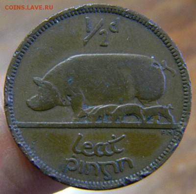 2 пенни ирландия 1942 - DSCN9816_thumb
