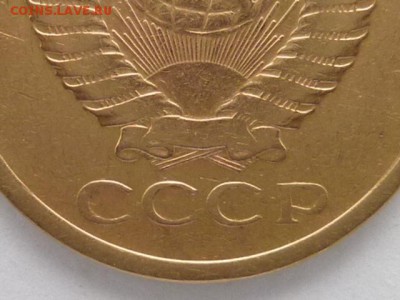 Б ?? - P1010710.JPG