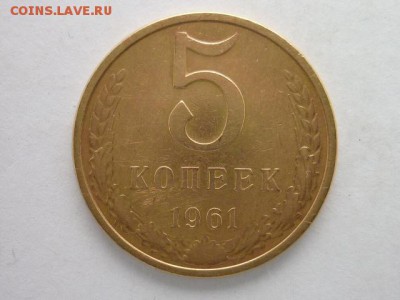 Б ?? - P1010701.JPG