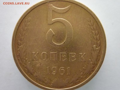 Б ?? - P1010716.JPG
