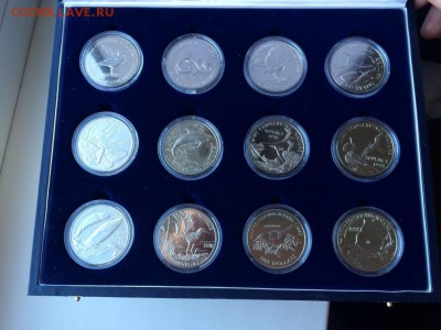 редкий набор Сохраним природу 12 монет Животные Фауна футляр - redkij_nabor_sokhranim_prirodu_12_monet_zhivotnye_fauna_futljar_logotipom_fond_dikoj_prirody_wwf_krona (3)