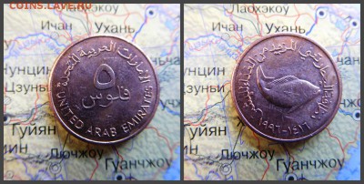 ОАЭ 5 филсов, 1416 (1996) - 17