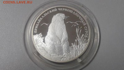 2р 2008г Сурок- пруф серебро Ag925, до 24.12 - X Сурок-1