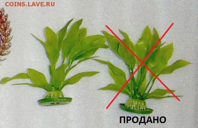Аквариумные растения Декорации пластик в лоте 7 ШТУК растени - рас5