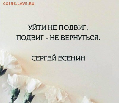 НЕЖДАНЧИК от монетка2013 - a9dbe16d2dca3ff6d4ad62b5407c71df