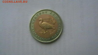 10 руб. 1992 г. казарка. до 25,12,18 по МСК 22-00 - IMGA0595.JPG