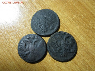 три полушки 1734,35,35 года. - IMG_0614.JPG