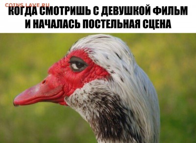 юмор - AqhOnoFNM88