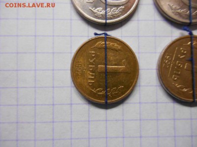 повороты на оценку - DSCN5865.JPG