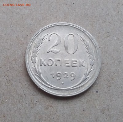20 копеек 1929. До 29.12.18 в 22.00 - 20181225_124750
