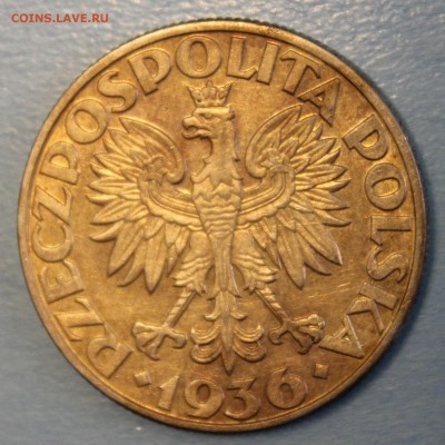 С РУБ. ПОЛЬША 5 злотых 1936г. ПАРУСНИК   до 31.12 в 22-00 - IMG_5648.JPG