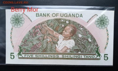 УГАНДА 5 шиллингов 1982г., ДО 30.12. - Уганда 5 шиллингов 1982г., В..(1)