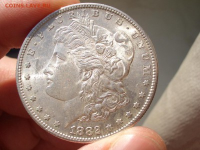 США, Морган доллар, 1882 г. - 30.12.2018-22.00 Мск. - Morgan 1882 (4).JPG