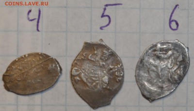 Помогите определить чешую - SAM_5281.JPG
