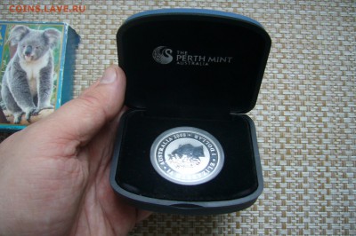 1 доллар 2008 Австралия Коала в коробке с доками - P2010670.JPG