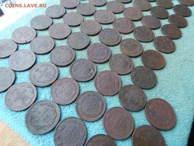 62 двушки Александра 1, цена фикс - 62-1-1