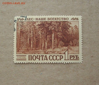 СССР. 1960 г. Международный конгресс по охране лесов.. - IMG_7134.JPG