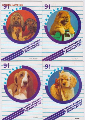 4 календарика 1991 г. СОБАКИ до 03.01.19 г. в 23.00 - 027