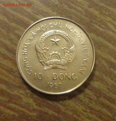 ВЬЕТНАМ - ОРАНГУТАН мешковая до 4.01, 22.00 - Вьетнам орангутан_2