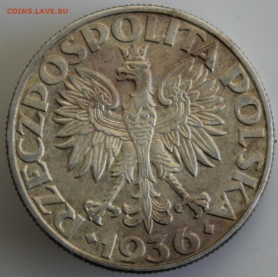С РУБ. ПОЛЬША 5 злотых 1936г. ПАРУСНИК   до 31.12 в 22-00 - IMG_5868.JPG