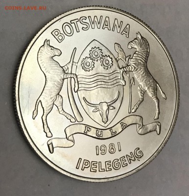 Ботсвана 5 пула 1981 до 21.00 30.12.2018 - C5CD8676-AD77-4BD9-8D2E-22FFA06F3E70