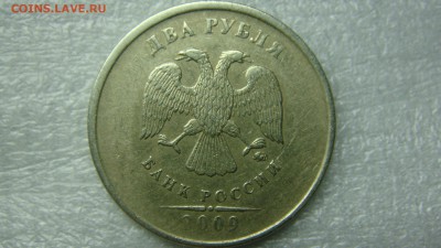 Вопросы по разновиднстям от сахарок - DSC07603.JPG