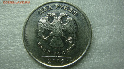 Вопросы по разновиднстям от сахарок - DSC07607.JPG