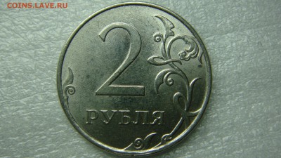 Вопросы по разновиднстям от сахарок - DSC07606.JPG