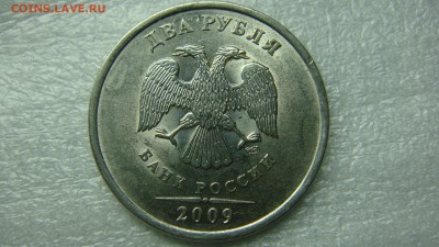 Вопросы по разновиднстям от сахарок - DSC07605.JPG