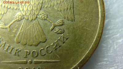Вопросы по разновиднстям от сахарок - DSC07613.JPG
