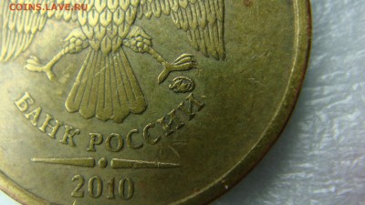 Вопросы по разновиднстям от сахарок - DSC07612.JPG
