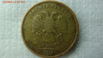 Вопросы по разновиднстям от сахарок - DSC07615.JPG