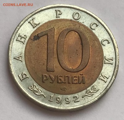 КК 1992 Кароснозобая Казарка до 5.01 - 59C4B2DC-8895-4BF1-8125-4F618F7ADC0F