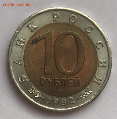 КК 1992 Кароснозобая Казарка до 5.01 - 11326F49-14B5-4924-AFDE-FFB5F5B1E0B0