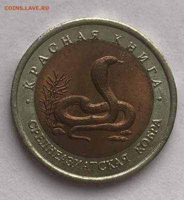 КК 1992 Среднеазиатская Кобра до 5.01 - 3F0676A2-24B2-42E1-B59D-07E1F5BFAA95