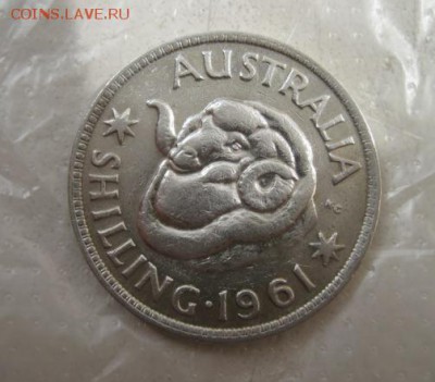 1 шиллинг Австралия 1961   до 05.01.19 - IMG_2298.JPG