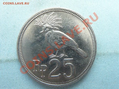 ИНДОНЕЗИЯ 25 рупий 1971г. РАЙСКАЯ ПТИЧКА до 6.06.11 в 22-00 - MEMO0022.JPG
