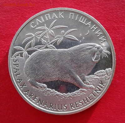 Украина 2 гривны Песчанный Слепыш 2005г. до 8.01.19 - 2019-01-03 19.37.57