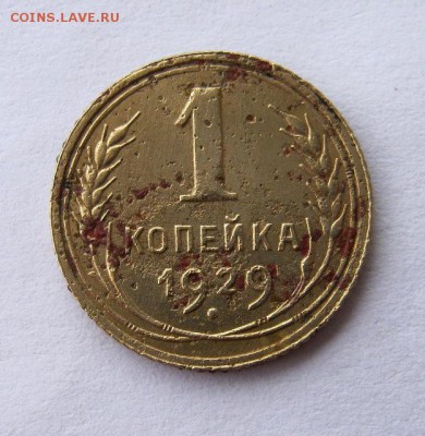 1 копейка 1929 год. до 7.01 в 22-00. - IMG_3584.JPG