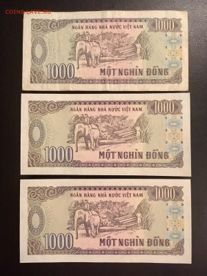 1000 донг 1988 года 5 штук. До 22:00 10.01. - EAFDDD5D-0804-4F68-9620-2DEBEB1556F4