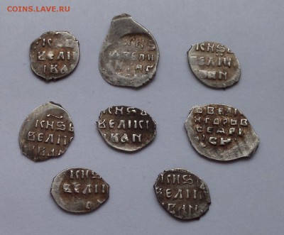 Кладовые чешуйки, Грозного, 8 шт. до 8.01 - IMG_20190105_131153