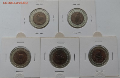 Красная Книга ВСЯ с 9000 руб. - dcz 4