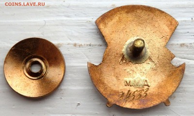 Отличнику Здравоохранения оценка - P1050003.JPG
