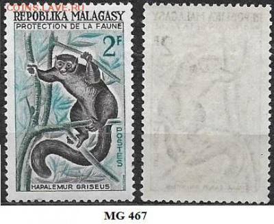 Магадаскар 1961. ФИКС. Mi VG 467. Лемур - Магадаскар 467
